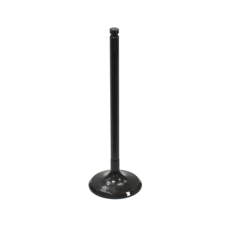 BRONCO INTAKE VALVE