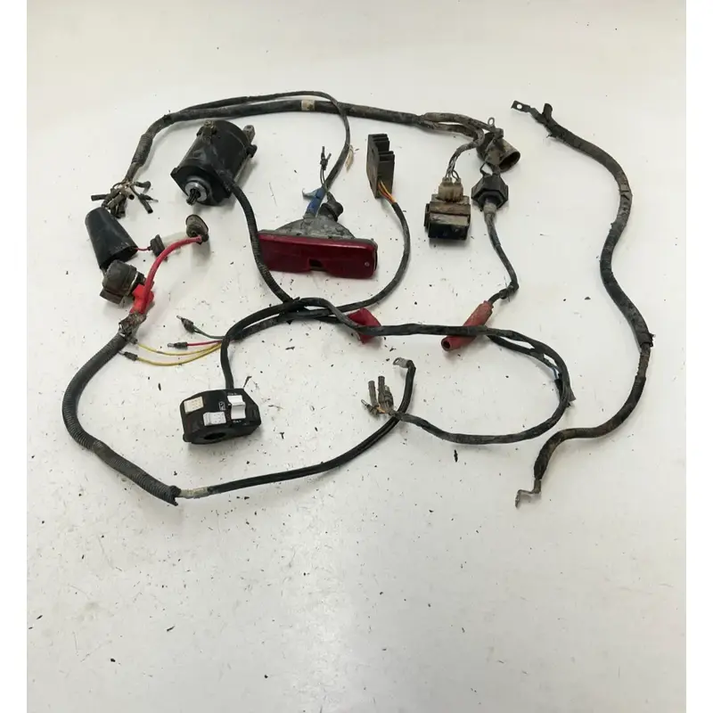 86 1986 Honda Fourtrax TRX200SX Trx 200 Sx OEM Wiring Harness Loom ECU CDI Coil
