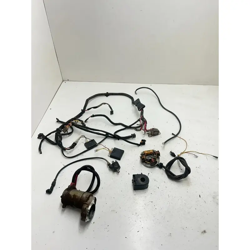 03 2003 Polaris Trailblazer 250 2x4 GOOD! OEM Wiring Harness ECU CDI Coil Stator