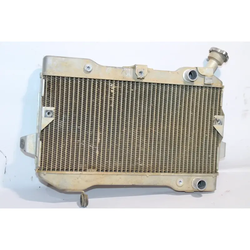 2006-2009 Suzuki Quadracer 450 Ltr450 OEM Radiator 17710-45G00