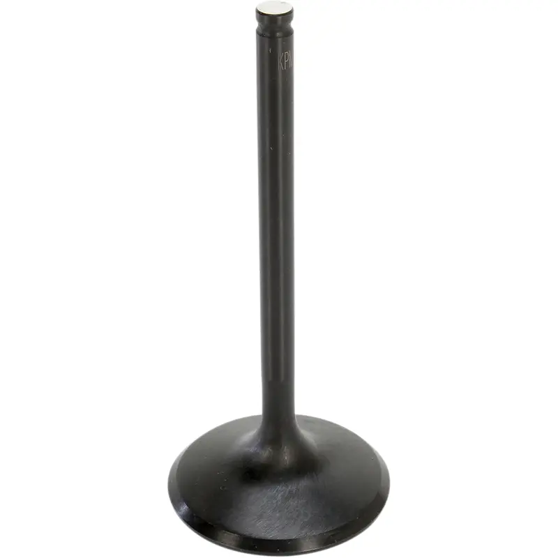 Black Diamond Engine Valve