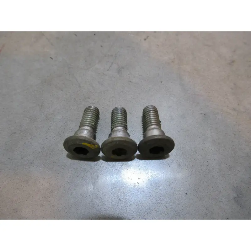 Honda TRX 300EX Brake Screw Set Front 2001