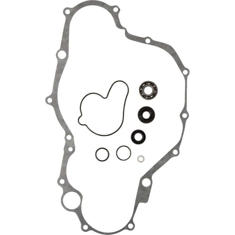 Water Pump Rebuild Kit