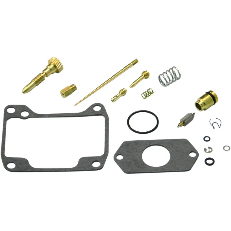 Carburetor Repair Kit