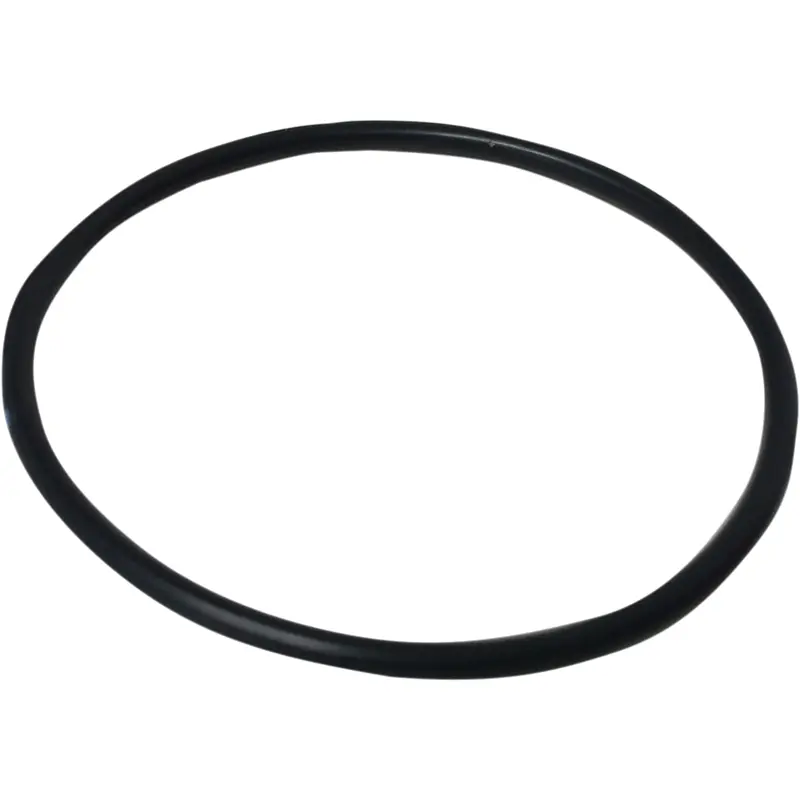 Rear Shock Piston O-Ring