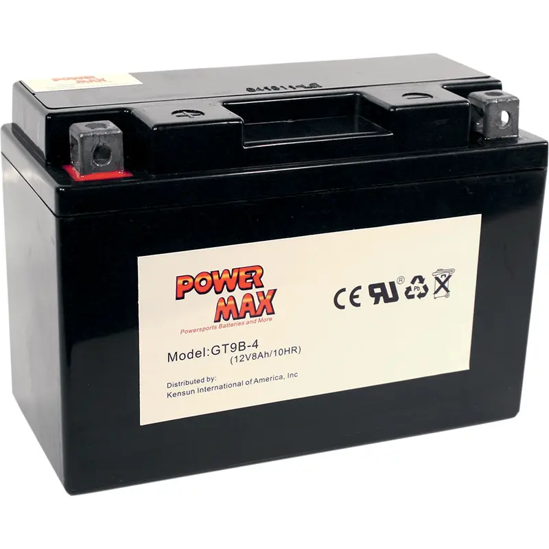 Maintenance-Free Battery
