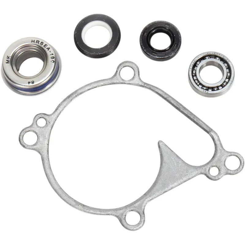 Water Pump Repair Kit