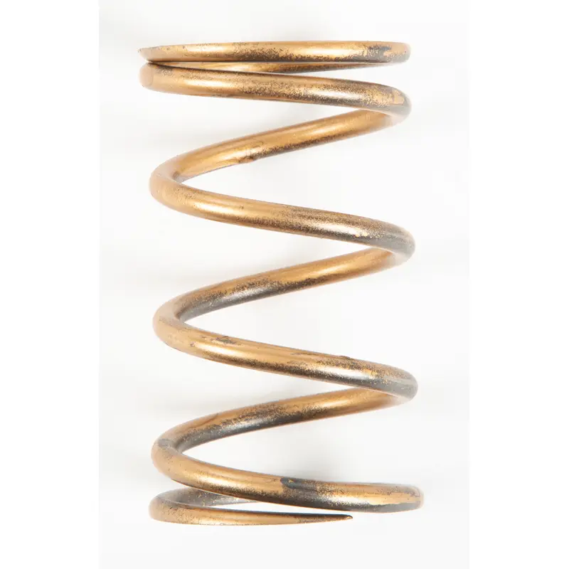 Clutch Spring