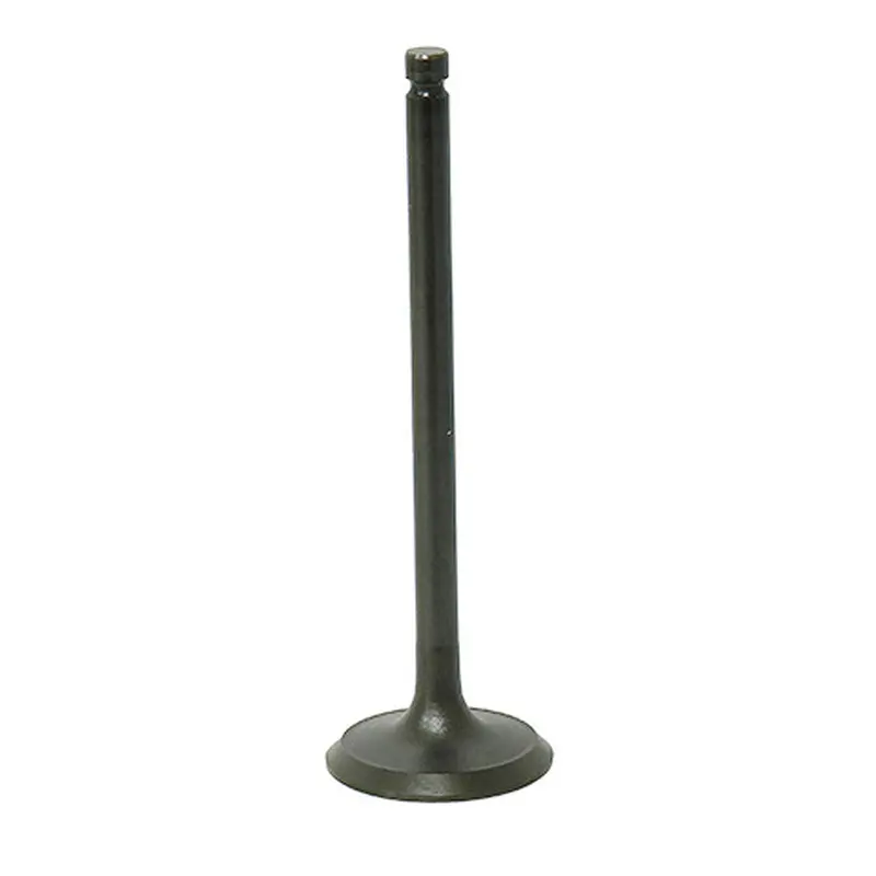 BRONCO EXHAUST VALVE