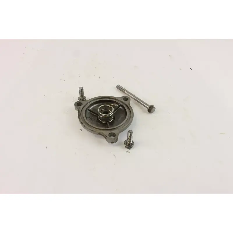 2008 Suzuki Quadracer 450 Ltr450 2x4 Oil Pump Cover c6008