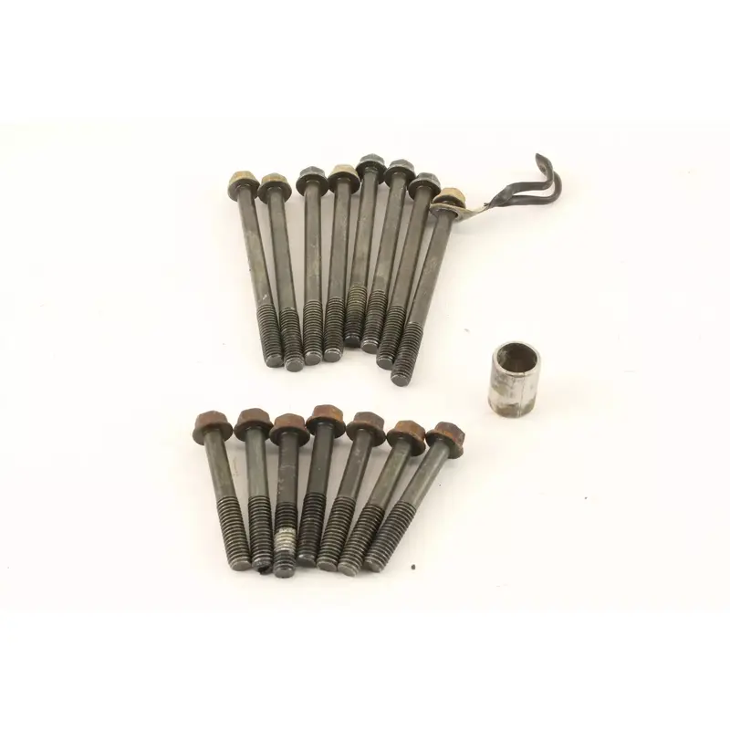 2006 Kawasaki Kfx400 Crankcase Bolts Hardware k1243