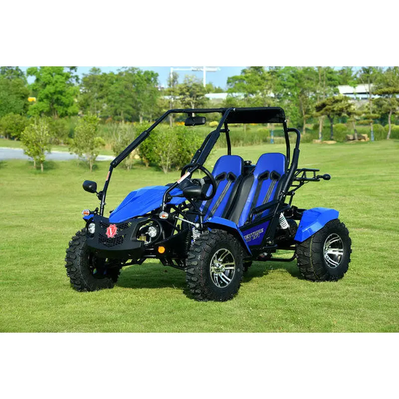 Venture 200 EFI Adult Go Kart Buggy