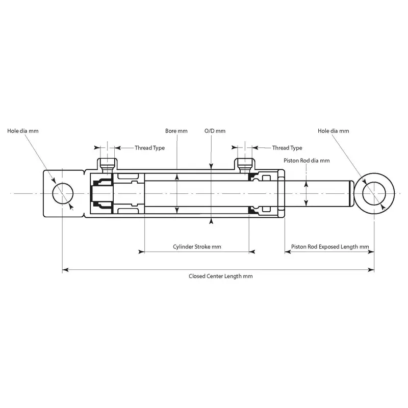 Hydraulic Double Acting Cylinder with Ends, 30 x 50 x 600mm | Sparex Part No.S.136948