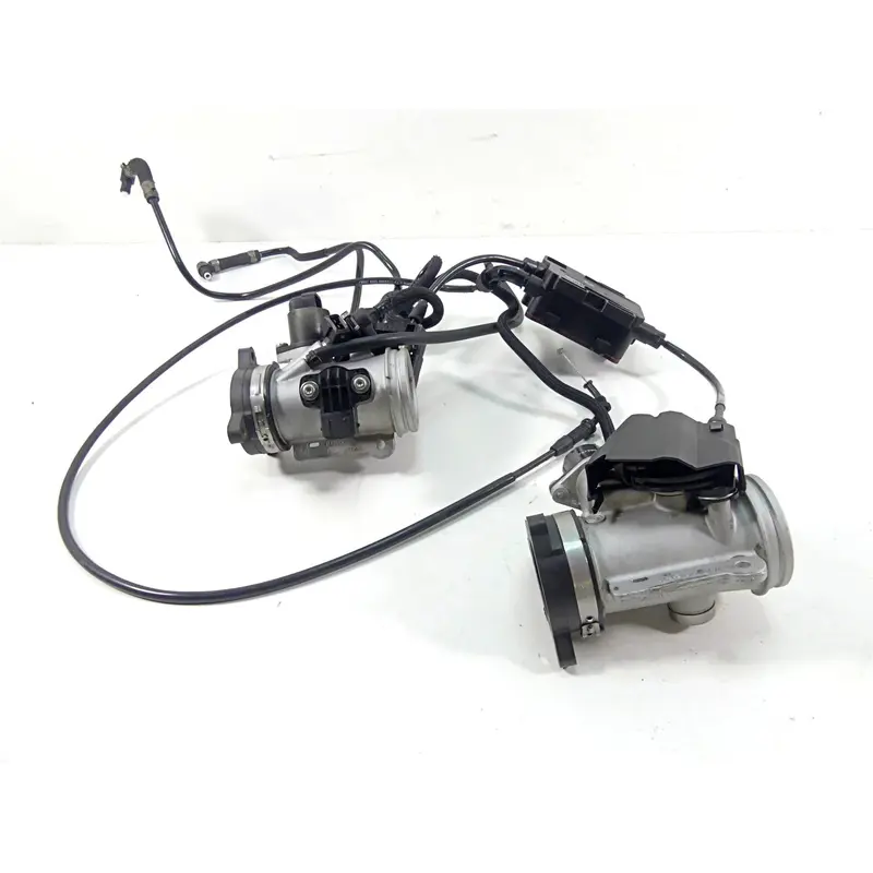 2009 BMW R1200GS K255 Adv Bing Throttle Body Set -Read 13547705239 13547705240