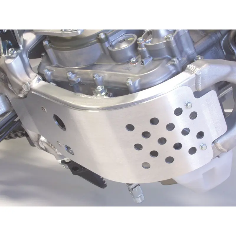 WORKS SKID PLATE 10-295