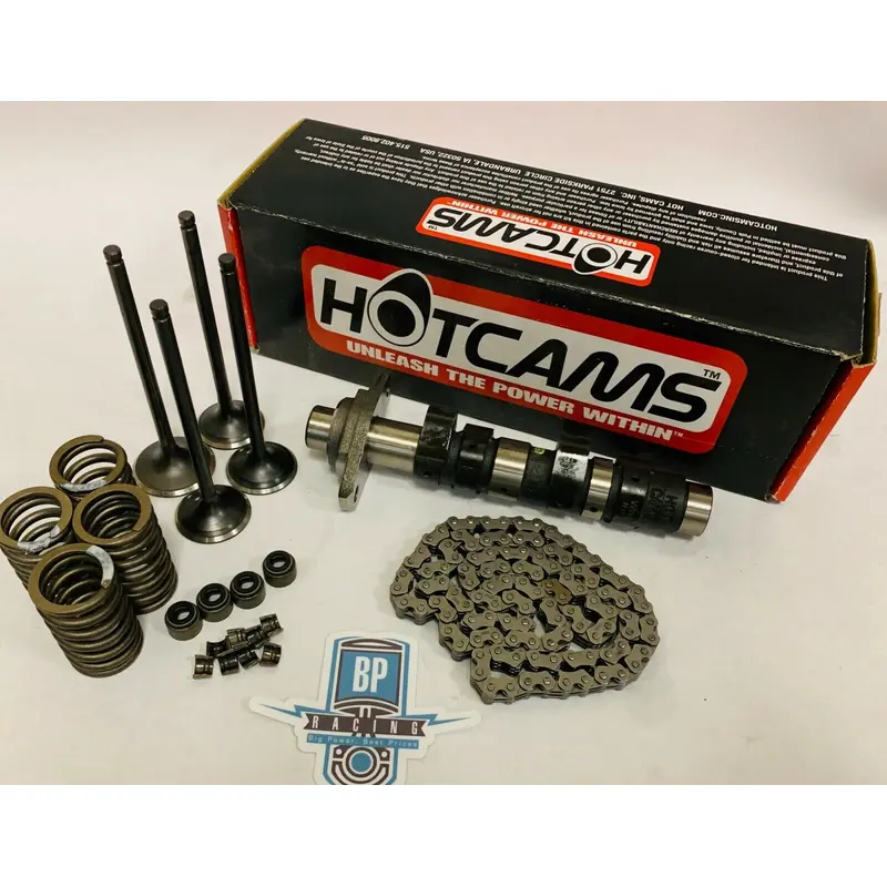TRX400EX TRX 400EX Stage 1 Hotcam Hot Cam Valves Springs Chain Head Rebuild Kit