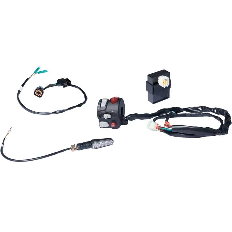 SEGWAY SNARLER - TURN SIGNAL KIT