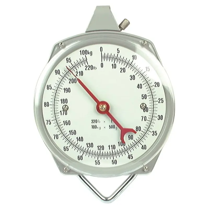 SCALE-100KG/500G 220LB/1LB - S.12439