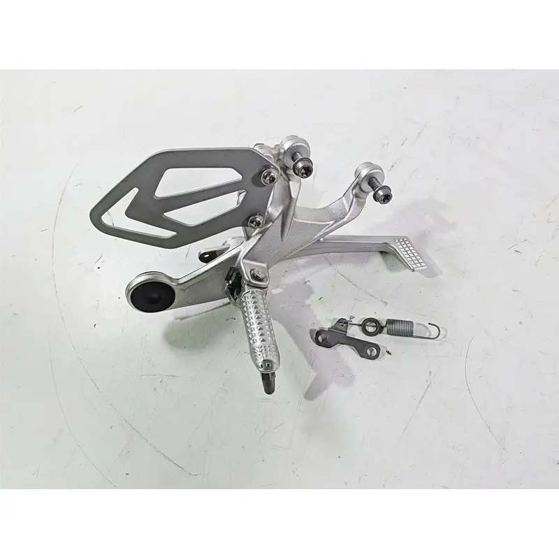 2016 BMW S1000RR K46 Right Foot Peg Set & Brake Pedal 46717728308
