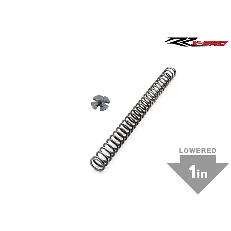 Beta - 48mm Sachs SHC Fork Springs, 1" Lower