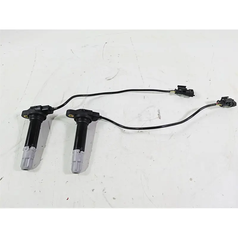2018 Ducati Hypermotard 939 SP Beru Ignition Coil Set 38010145B