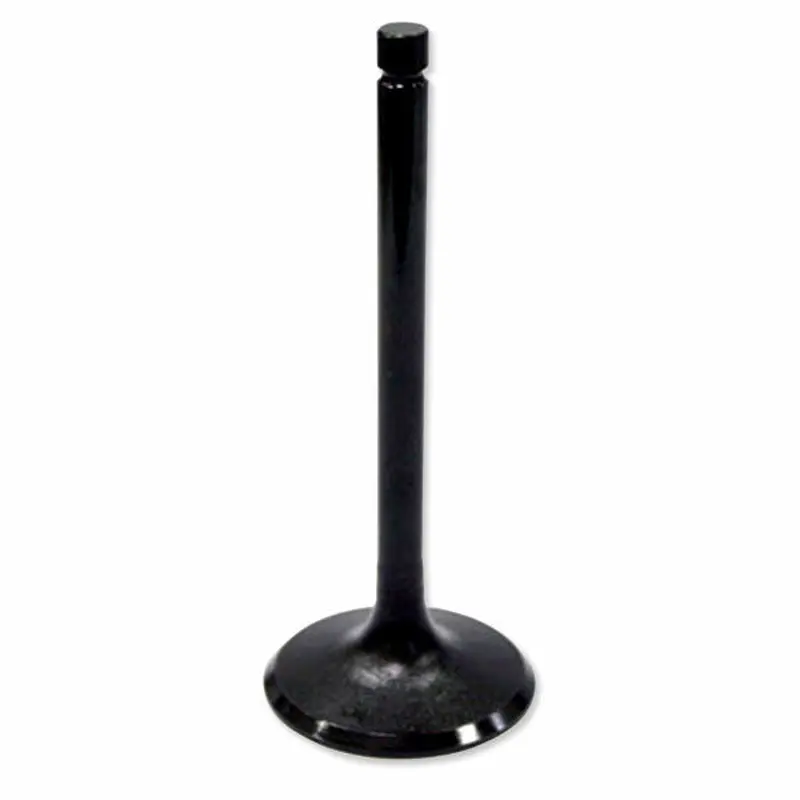 VALVE EXHAUST (AU-09011E)