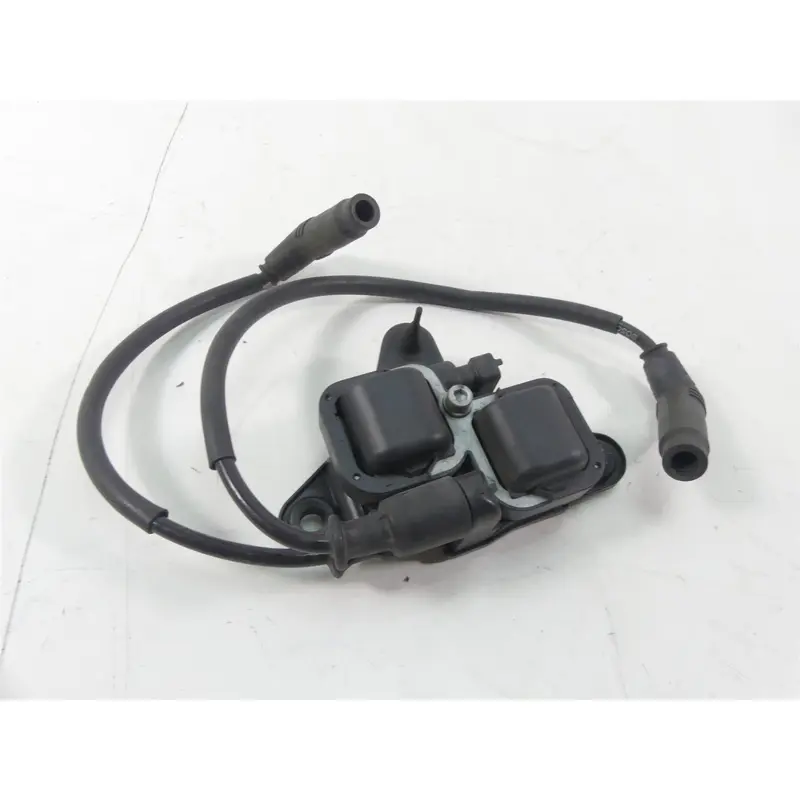 2004 Aprilia RSV1000 R Mille Ignition Coil Wire Plug Set AP0266070