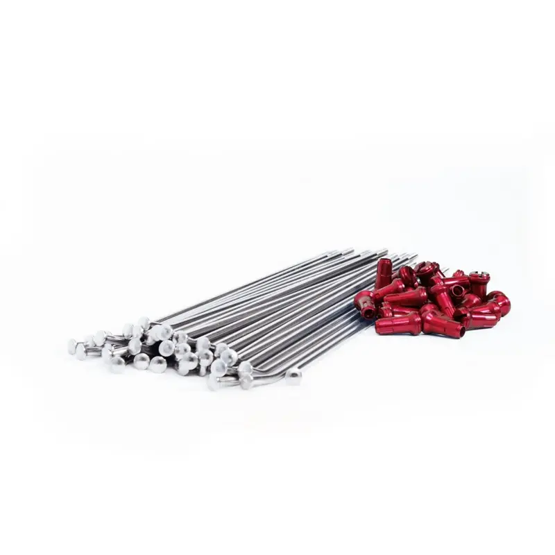 Beta - Dubya 6-Pack Spoke/Nipple, 21" Front, Red