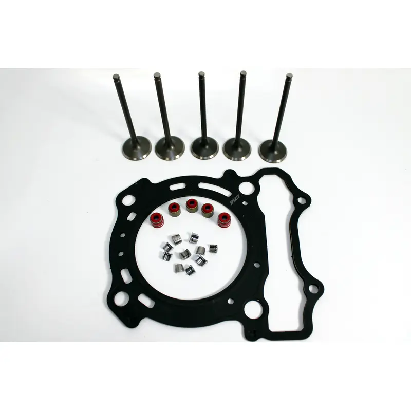 01-13 WR250F WR 250F Intake Exhaust Valves Kit Gasket KIBBLEWHITE Seals Keepers