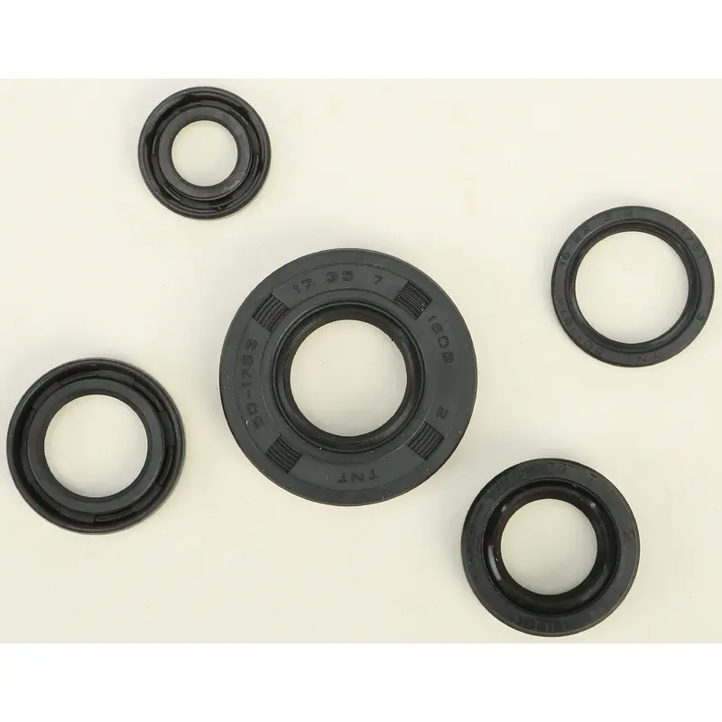 WINDEROSA OIL SEAL SET 822222