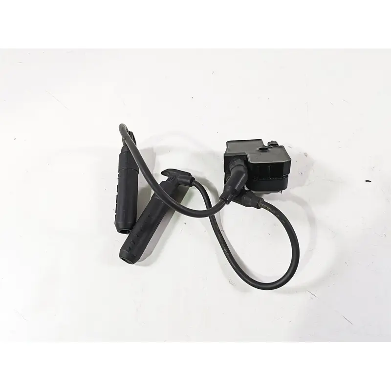2018 Indian Chieftain Dark Horse Ignition Coil Wires Plugs 4010425 2876049