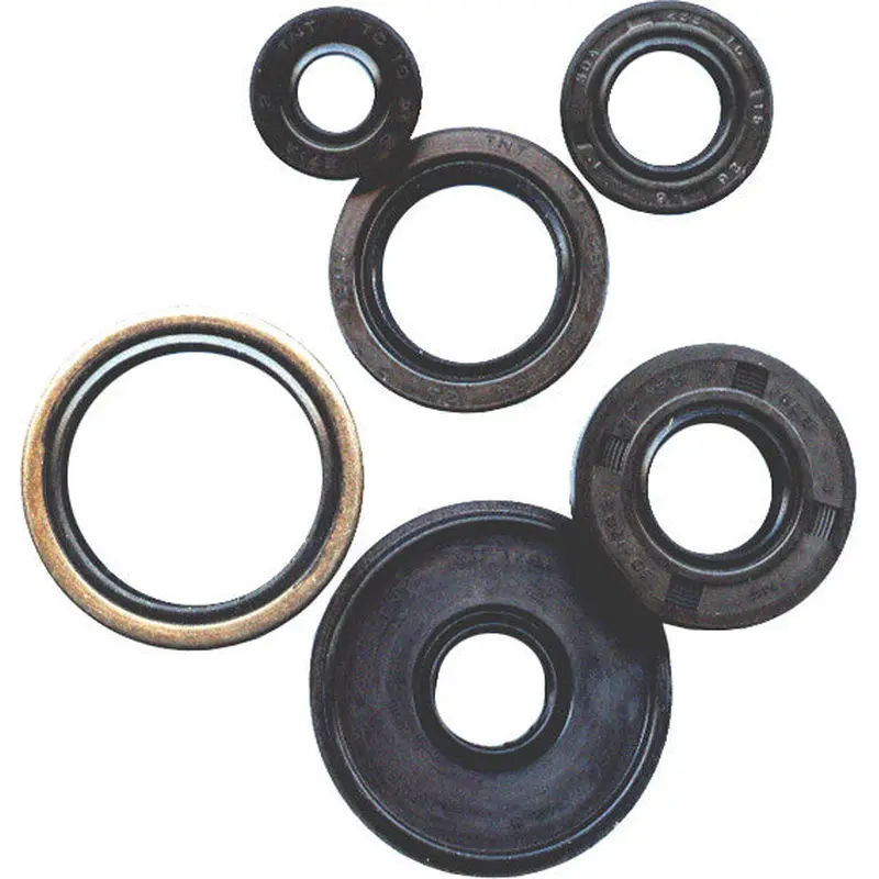 WINDEROSA OIL SEAL SET 822140
